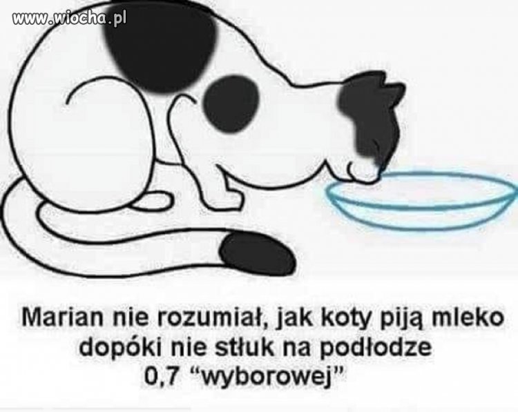 Natura może nas duzo nauczyć