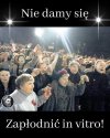 Rydzyk przeciwko finansowaniu in vitro
