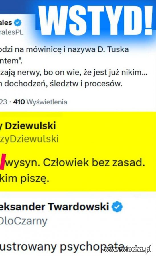 Kacza łajza