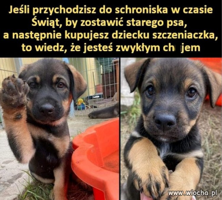 Potwierdzam