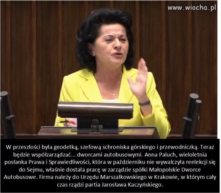 Czy czerwone świnie, kiedykolwiek będą nażarte?