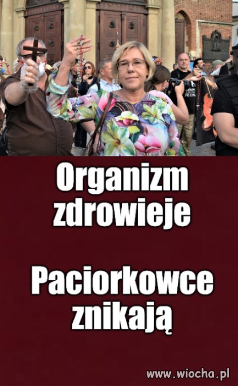 Rząd przeciera Polskę chusteczką antybakteryjną