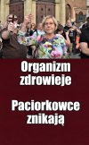 Rząd przeciera Polskę chusteczką antybakteryjną