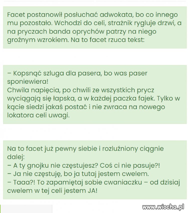 Zaszalał