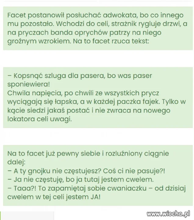 Zaszalał