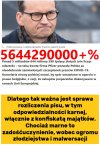 Siedzieć powinien pójść nie tylko on, 