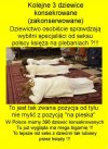 Po co Jezusowi tyle tych dziewic ??? i to takie szkarady ...