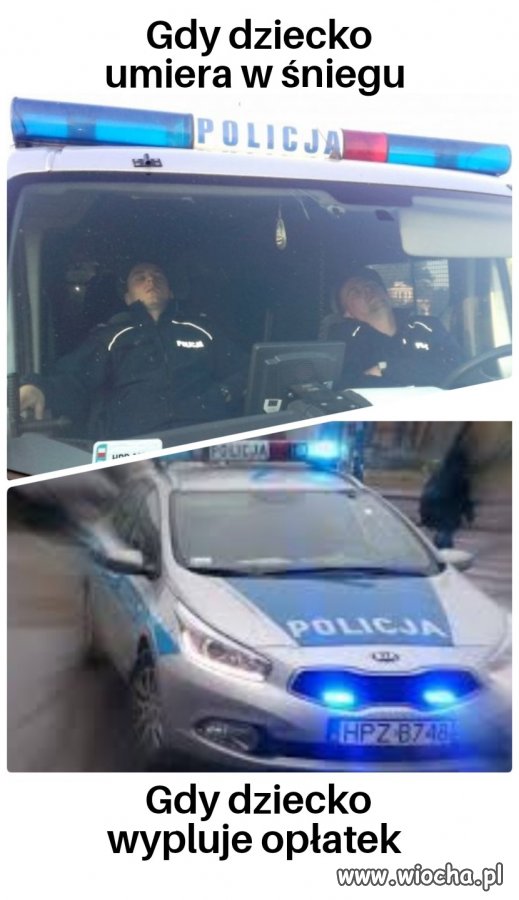 Pomagamy i chronimy 