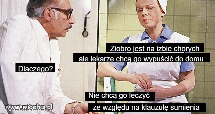 No i raczycho zżera zera.