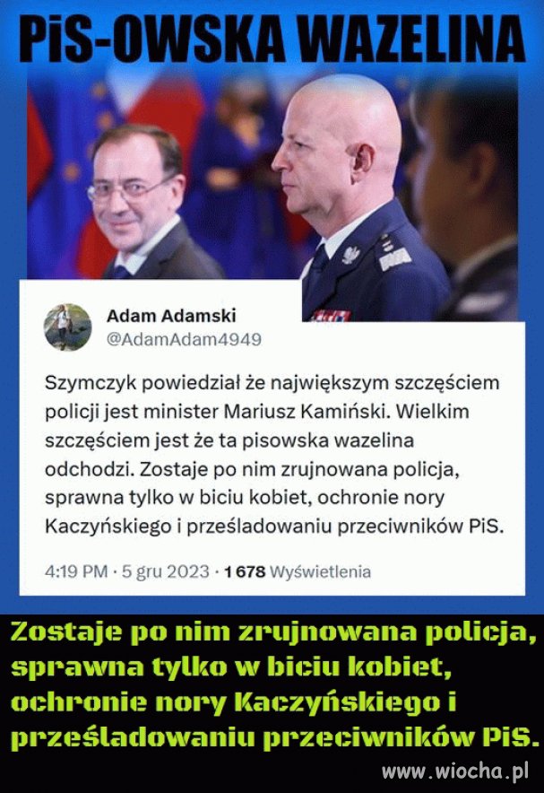 Łysy przydupas i wierny pies