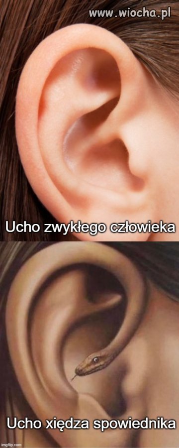 Dlatego w konfesjonale