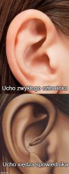Dlatego w konfesjonale