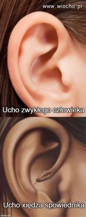 Dlatego w konfesjonale