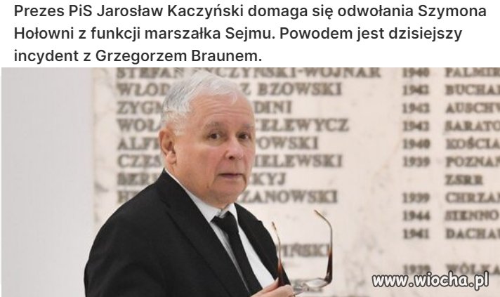 Logika kaczora