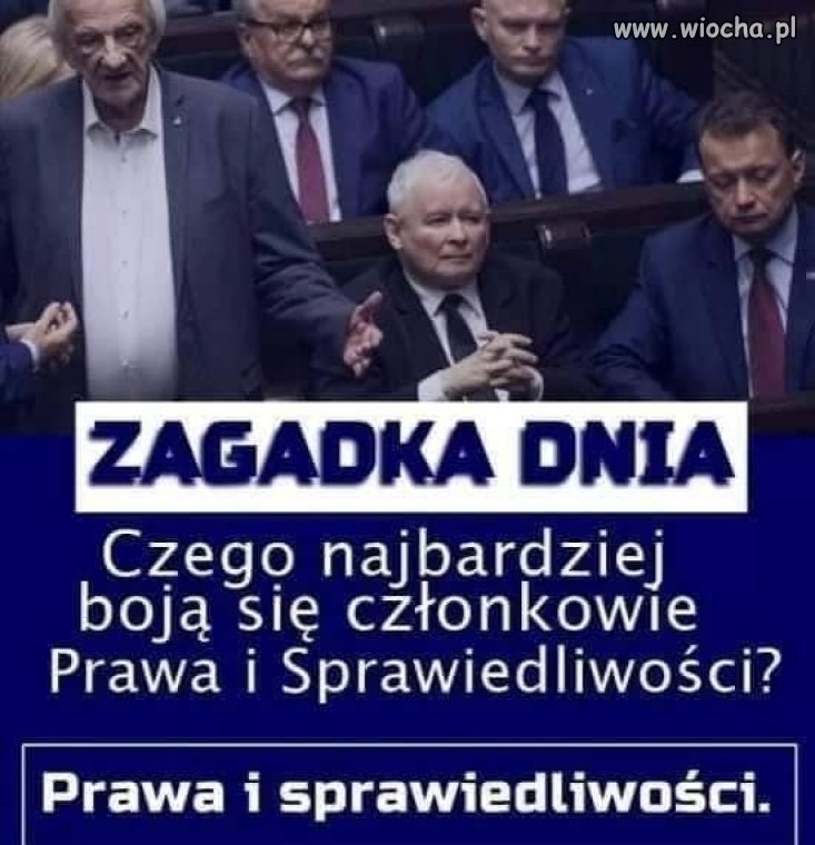 Dlatego tak histerycznie protestują