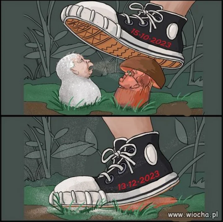 W punkt! 