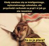 Tak jest 
