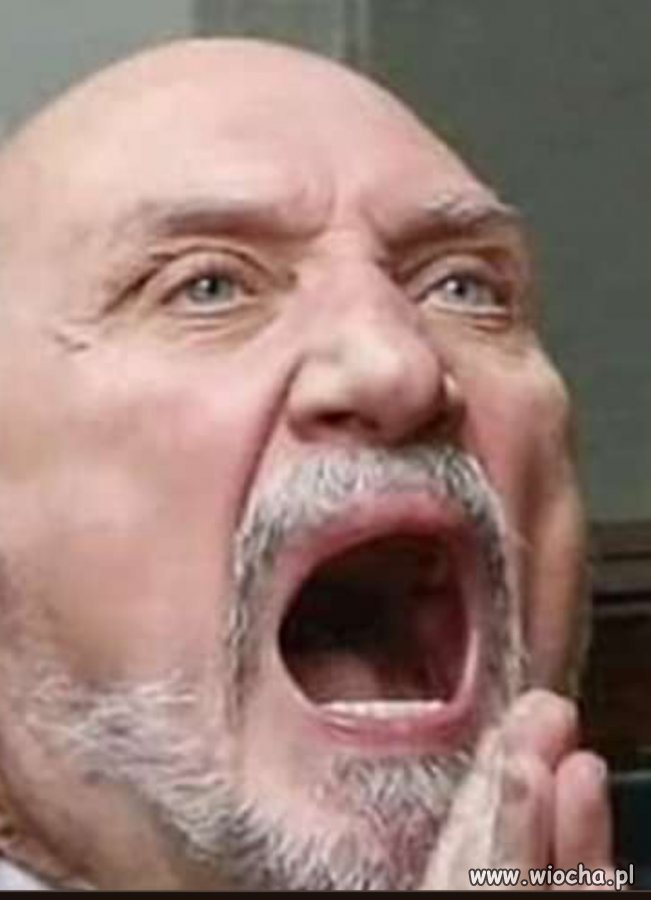 Antek czeka na  strzał