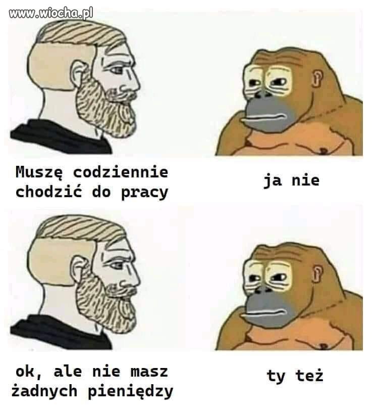 Tak jest 