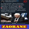 Kaczy idiota