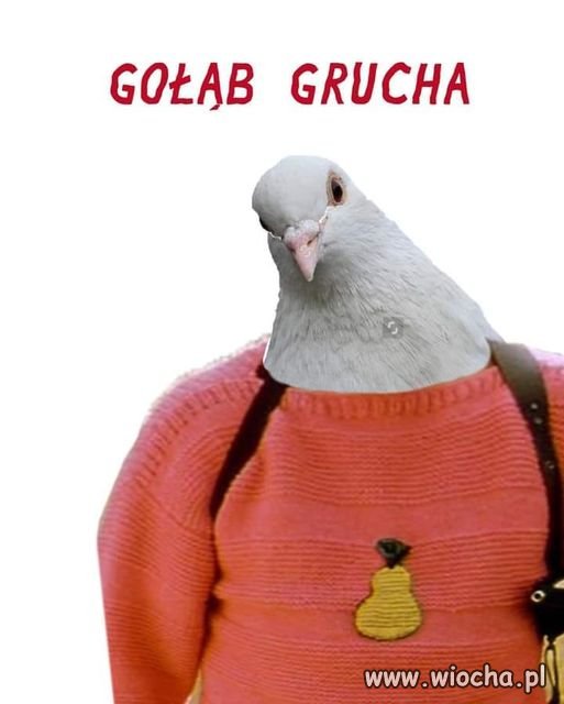 Znasz historię tego swetra?