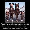 Potwierdzam