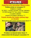 Teraz prawda wyszła na jaw.