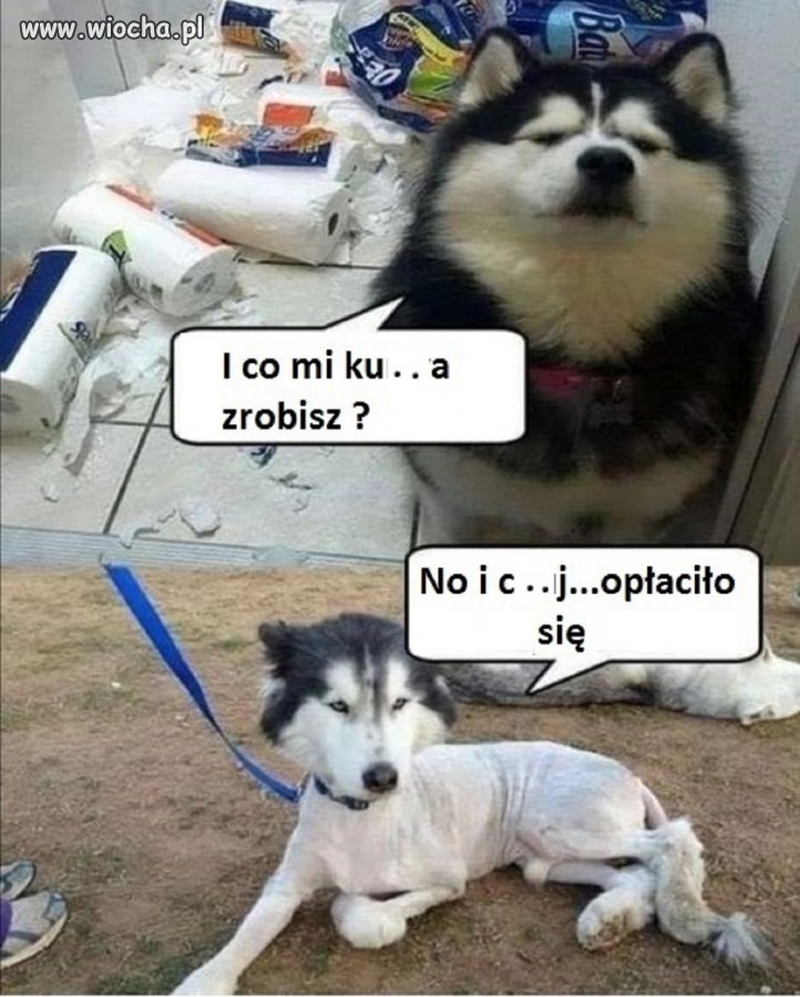 ...i pocwaniakował