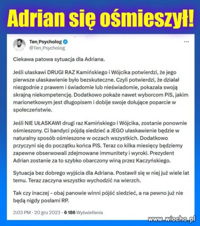 Adrian ty niemoto 