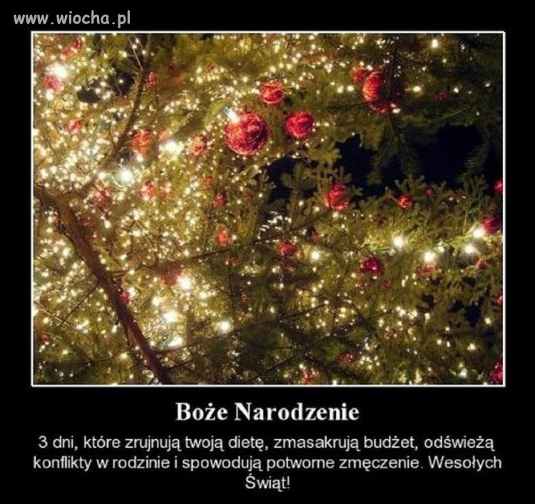 Trzeba mieć odwagę