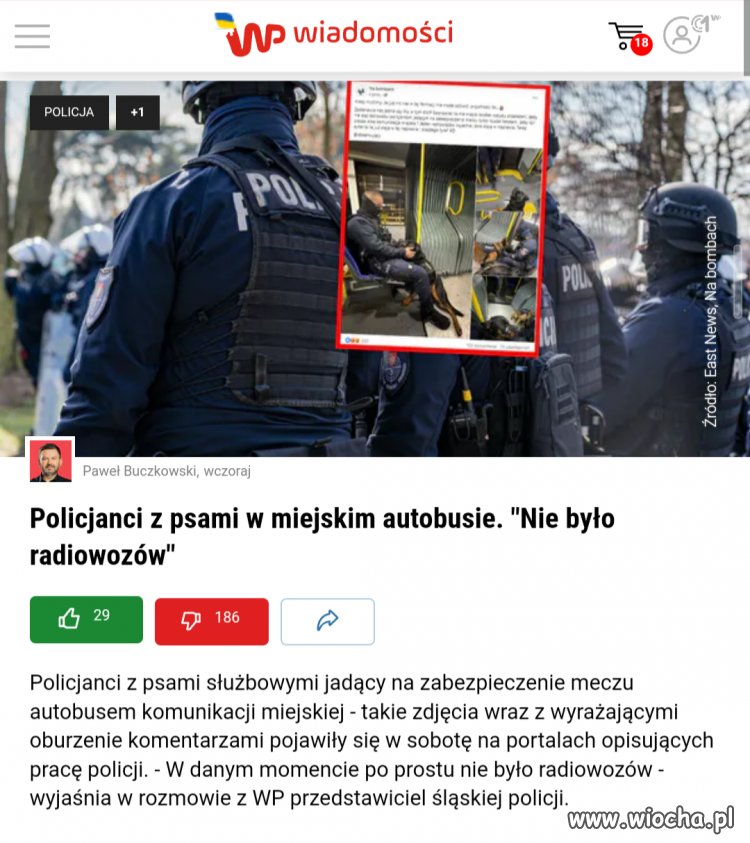 Pies w autobusie... 