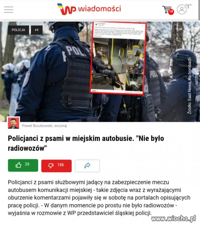 Pies w autobusie... 