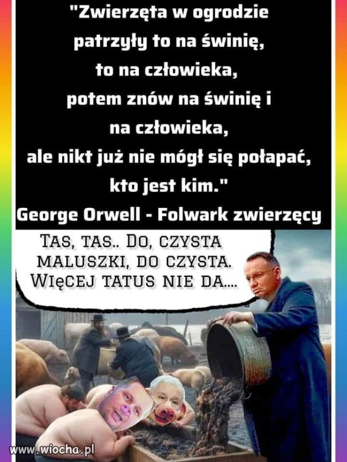 Pisowska polityka