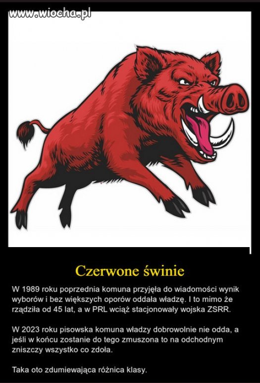 W PRLu były jakieś standardy, kulawe, ale były.