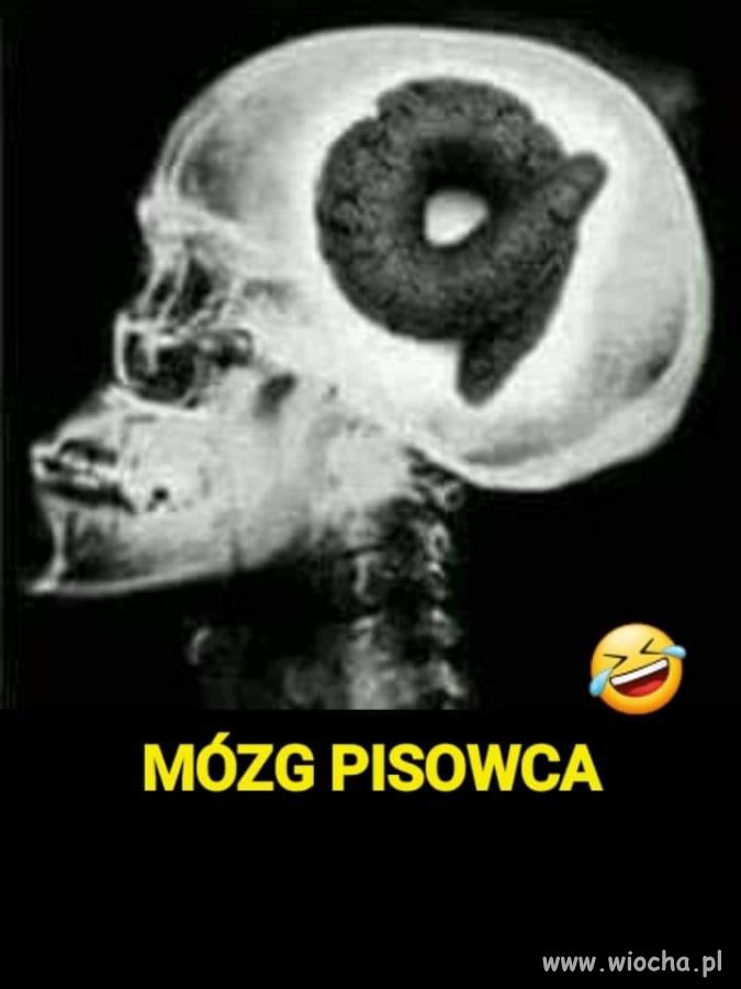 To stąd się brały te ich wszystkie pos*ane pomysły