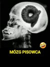 To stąd się brały te ich wszystkie pos*ane pomysły