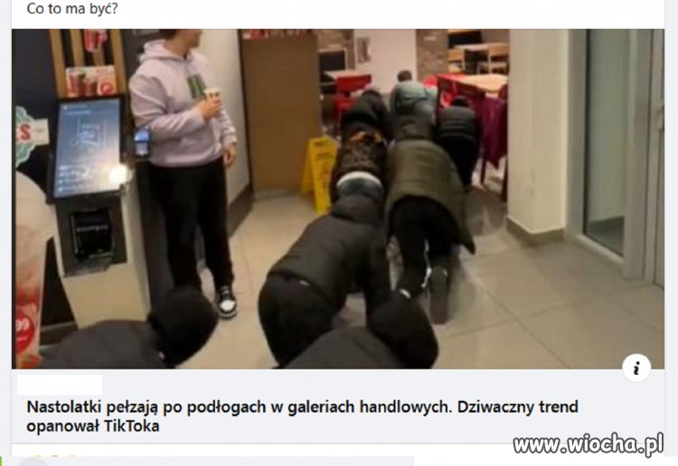 Gdzie kończy się granica idiotyzmu?