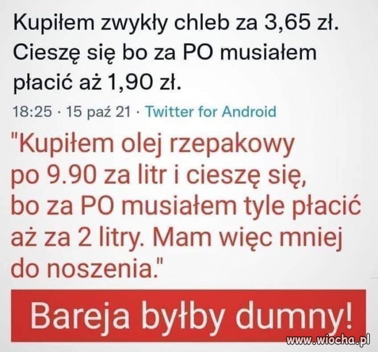 Pisowska inteligencja