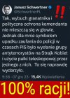 Pisowska milicja