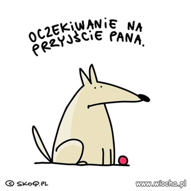 Wesołych Świąt !