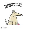 Wesołych Świąt !