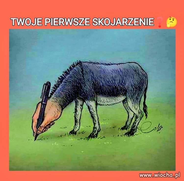 Twoje pierwsze skojarzenie 
