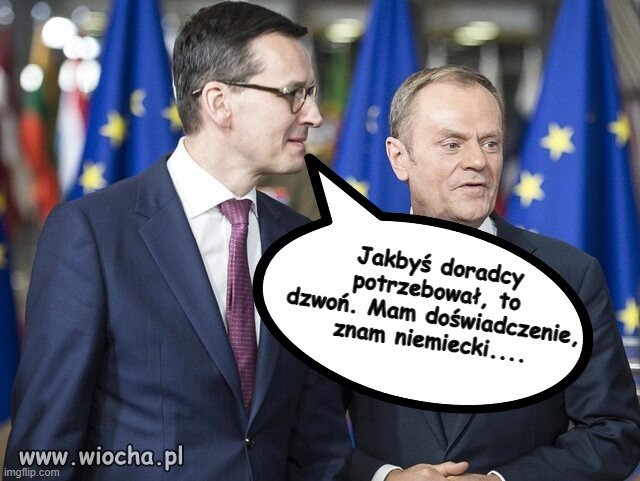 Moritz szuka roboty,