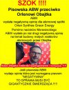 Wszystko co PiS wymyślił, śmierdzi korupcja!