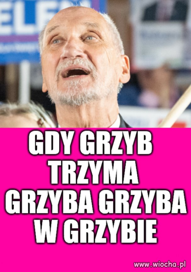Impra u Tadka