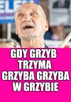 Impra u Tadka