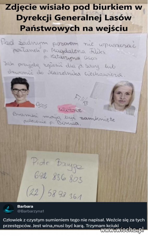 Zdjęcie wisiało pod biurkiem w Dyrekcji Generalnej LP na wejściu