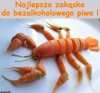 Odrobinka luksusu