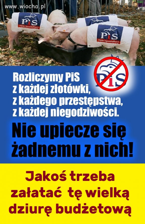 Normalna, uczciwa Polska na to czeka.