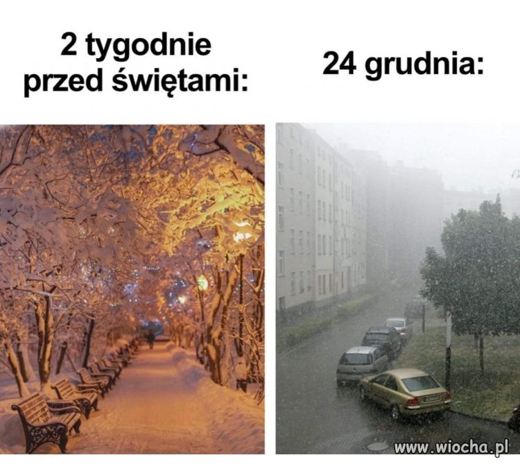 Grudniowa